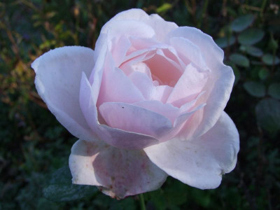 DSCF1095.JPG