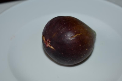 Piemonter dunkle Feige 004.JPG