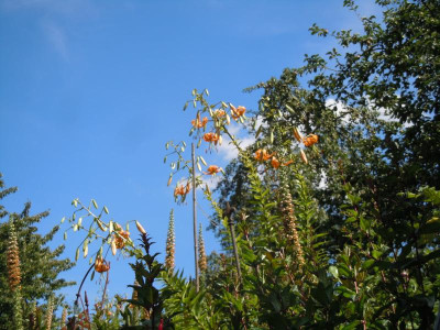 DSCN9893.JPG