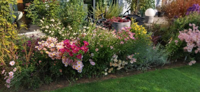 IMG_20201018_105544151_HDR~2.jpg