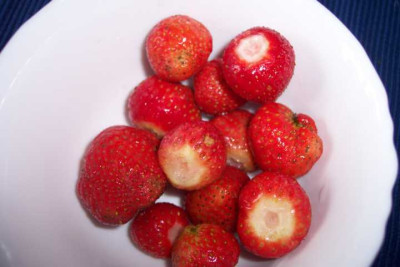 K640_100_4472.JPG