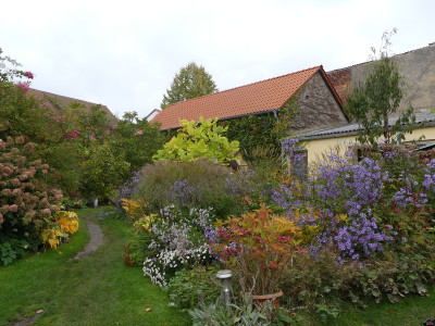 2020-10-18 Garteneinblick 1.jpg