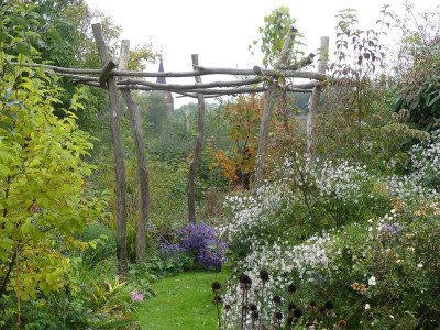 2020-10-18 Garteneinblick 2.jpg