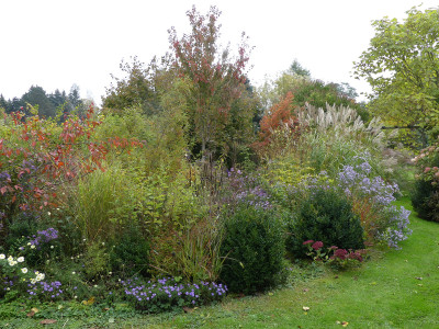 2020-10-18 Garteneinblick 4.jpg