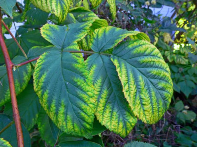 K640_P1050047_bearbeitet-1.JPG