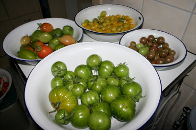 IMG_6692.jpg