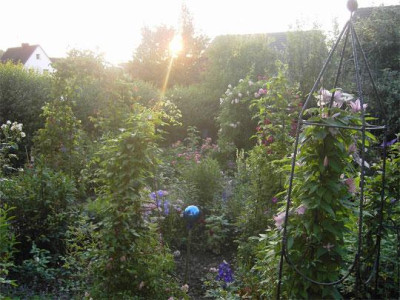 Klettergarten.jpg