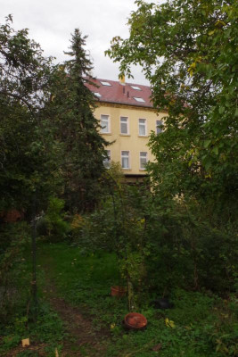 IMGP8536.JPG