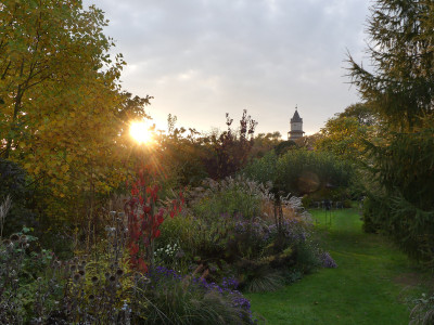2020-10-19 Gartenimpressionen 1.jpg