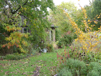 2020-10-21 Garteneinblick 1.jpg