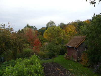 2020-10-21 Garteneinblick 2.jpg