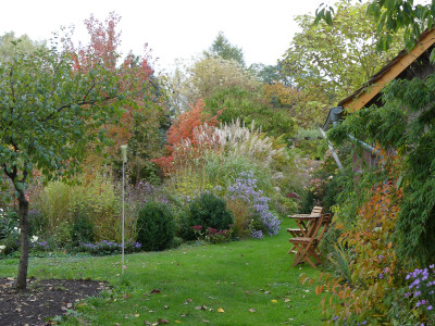 2020-10-21 Garteneinblick 4.jpg