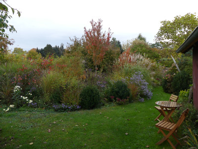 2020-10-21 Garteneinblick 3.jpg