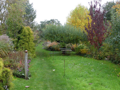 2020-10-21 Garteneinblick 7.jpg