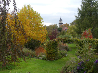 2020-10-21 Garteneinblick 6.jpg