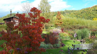 IMG-20201023-WA0001.jpg