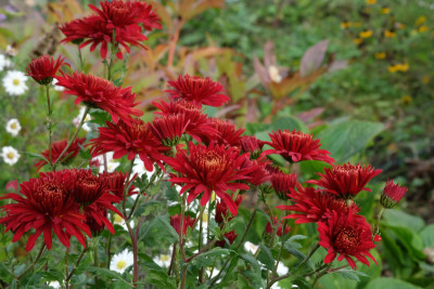 DSCF3057_4987.JPG