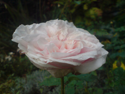 sdm_okt_07_9.JPG