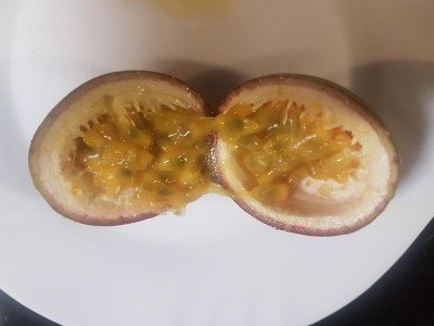 Edulis_Frucht.jpg