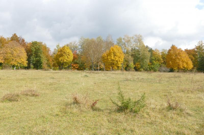 11P1020050B.JPG