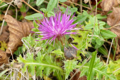 14P1020089.JPG