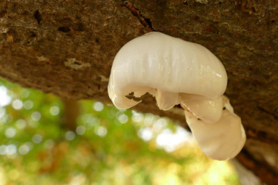 20P1020066B.JPG
