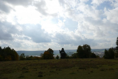 16P1020039.JPG