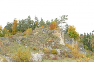 22P1020092.JPG