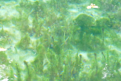33P1020114.JPG