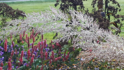 20201024_095741.jpg