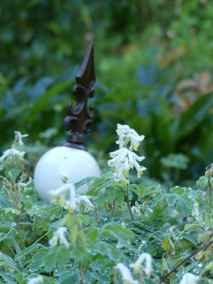 2020-10-24 Gartenimpressionen 1.jpg