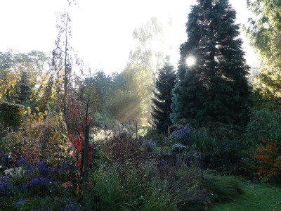 2020-10-24 Gartenimpressionen 3.jpg