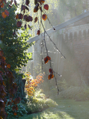 2020-10-24 Gartenimpressionen 4.jpg