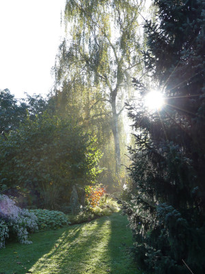 2020-10-24 Gartenimpressionen 5.jpg