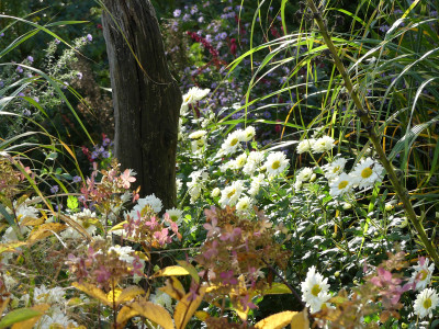 2020-10-24 Gartenimpressionen 9.jpg