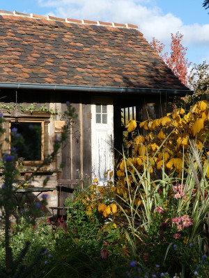 2020-10-24 Gartenimpressionen 10.jpg