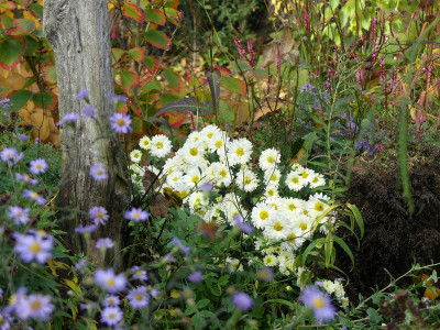 2020-10-24 Gartenimpressionen 12.jpg