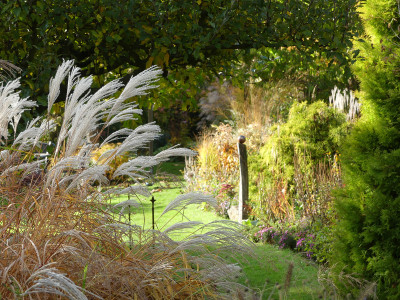 2020-10-24 Gartenimpressionen 14.jpg
