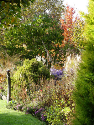 2020-10-24 Gartenimpressionen 17.jpg