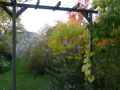 2020-10-24 Gartenimpressionen 20.jpg