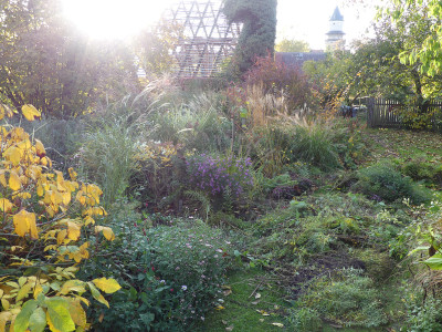 2020-10-24 Garteneinblick 8.jpg