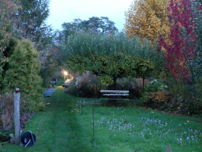 2020-10-24 Garteneinblick 15.jpg