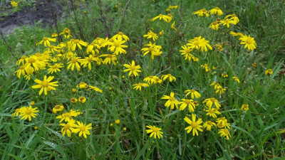 20201024_115058.jpg
