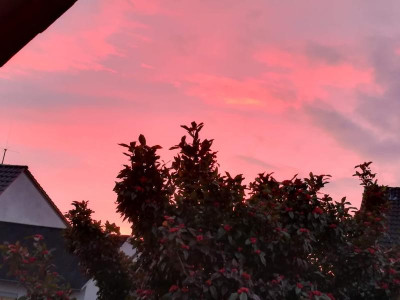 Morgenrot.20-1.jpg