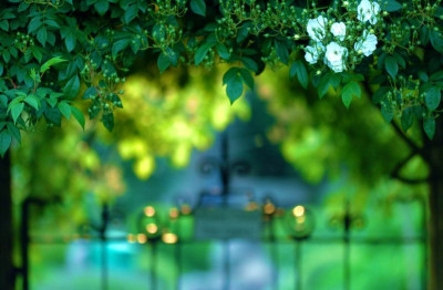 Rosenpforte_1_22-05-2007_SEPTEMBER.jpg