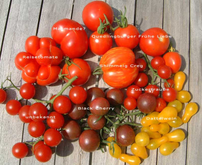 tomatensorten2007_beschr.jpg