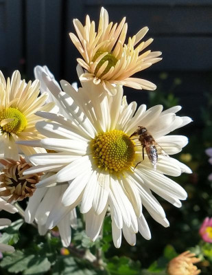 IMG_20201025_102803375_HDR~2.jpg