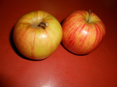 DSCN0971.JPG