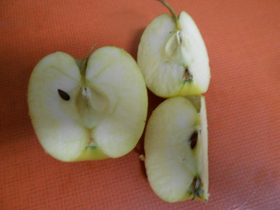 DSCN0975.JPG