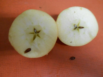 DSCN0976.JPG